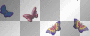 Butterflies Flying
