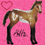 ellie
