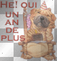 Et oui, un an de plus en chien plissé!