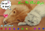 MaraGod8