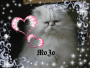 Mojo