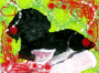 chien