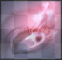 oeil