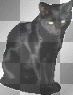 Black cat 