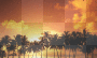sunset palmeiras