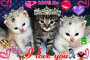 100000000000% me kittycats