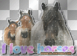 I love horses