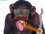 FUNNY MONKEY