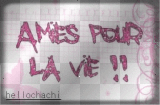 amie pour la vie