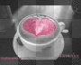 caffè 