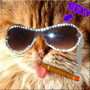 kittty:P