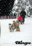 Air Buddies and Shasta