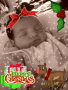 Christmas Newborn Christmas Newborn