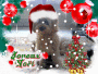 tékila de noel