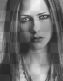 avril