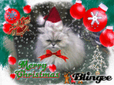 Princess XMas