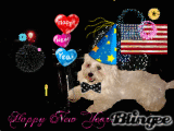 Happy New Year 