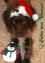 Chance Christmas