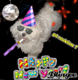 Happy New Yrs