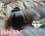 the baby princess ^^ *love*