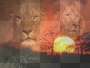 lion background