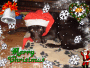 Unser Weihnachtshund 2007