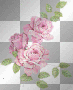pink roses pink roses