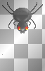 spider spider
