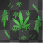 BUD WORLD
