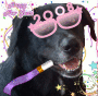 Have A Dog Gone New Year
