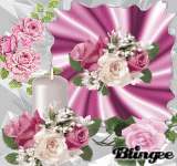pink roses