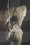 dead angel
