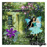 FAIRY HOME