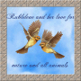 birdsnature
