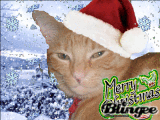 sunshine merry xmas