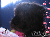 My Dog. (: