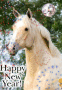 happy new year!
