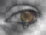 portuguese eye portuguese eye