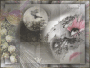 Gris et rose visage vers le ciel Gris et rose visage vers le ciel