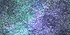 purpblugree purpblugree