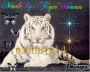 tigre