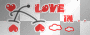 luv in