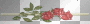 roses frame