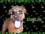 Dublin