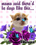 Poor Kitty...