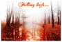 Falling leafs