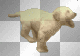 dogeeee
