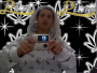 STAY FRSH DAILY
