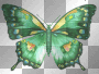 Rainbow Butterfly