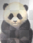 panda pop